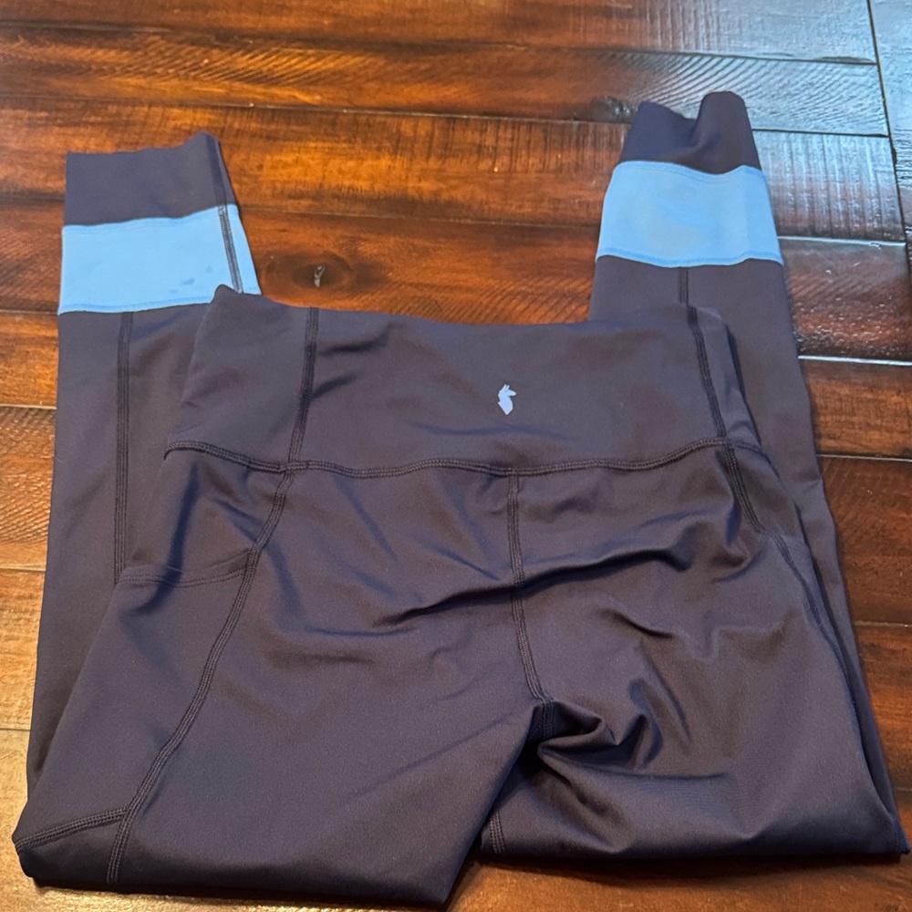 Cotopaxi Dark Blue Leggings